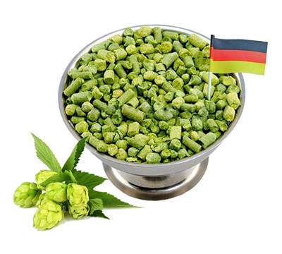 Хмель Мандарина Бавария (Mandarina Bavaria) 9,1% 100 гр 1648 - фото 22295
