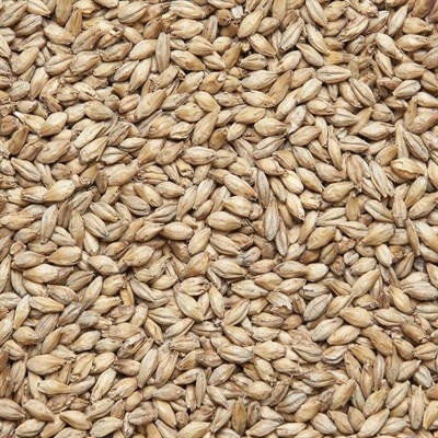 Солод ячменный Pale ale Бельгия 899 - фото 22345