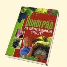 Книга "Виноград на приусадебном участке" И.Демин 762 - фото 5819