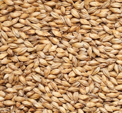 Солод ячменный Мюнхенский тип 1 EBC 14-16 Финляндия Viking malt 4797 - фото 7094