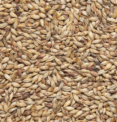 Солод ячменный "Red Ale malt" Финляндия 5376 - фото 8418