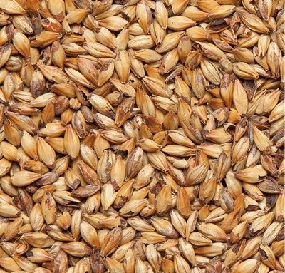 Солод ячменный cara plus 180/190 Финляндия Viking malt 4800 - фото 9472