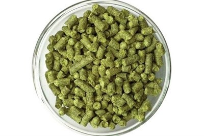 Хмель Нортен Бревер (Northern Brewer) 9,5% 100 гр 826 - фото 9574