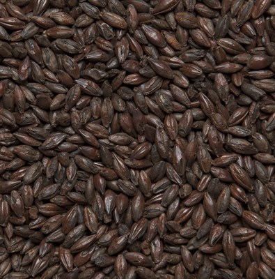 Солод ячменный Roasted Barley Бельгия 6222 - фото 9648