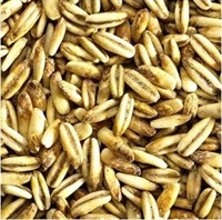 Солод "Oat" Овсяной Бельгия 1 кг 8032