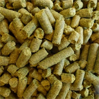 Хмель Чинук (Chinook) 12,5% 100 гр 1859