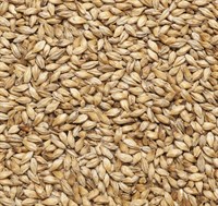 Солод ячменный Мюнхенский тип 2 EBC 16-22 Финляндия Viking malt 4798