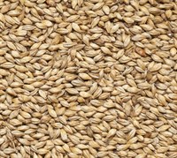 Солод ячменный Cara Blond 20 EBC Бельгия 4802