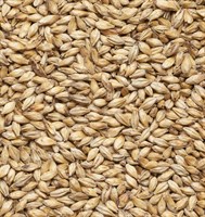 Солод ячменный Мюнхенский тип 3 EBC 24-28 Финляндия Viking malt 4799