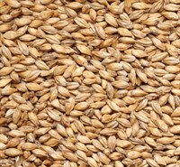 Солод ячменный Мюнхенский тип 1 EBC 14-16 Финляндия Viking malt 4797