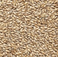 Солод ячменный Pilsner Финляндия viking malt 682