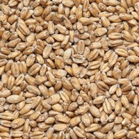 Солод пшеничный Wheat malt Финляндия 684