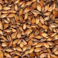 Солод карамельный ЕВС 150 Кристалл Беларусь 1697