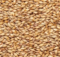 солод ячменный Crystal 50, Viking malt, Финляндия 5256