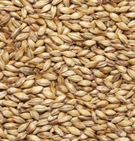 Солод ячменный  "Dark Ale Malt" Финляндия 4940