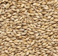 Солод ячменный Caramel Pale Финляндия 6215