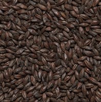 Солод ячменный Roasted Barley Бельгия 6222