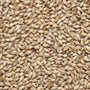 Солод ячменный Pale ale Бельгия 899 - фото 22345