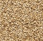 Солод ячменный Мюнхенский тип 2 EBC 16-22 Финляндия Viking malt 4798 - фото 7090