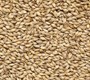 Солод ячменный Cara Blond 20 EBC Бельгия 4802 - фото 7091