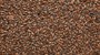 Солод ячменный "Chocolate Malt" Финляндия 4941 - фото 7635