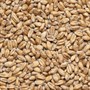 Солод пшеничный Wheat malt Финляндия 684 - фото 8048