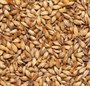 Солод ячменный cara plus 180/190 Финляндия Viking malt 4800 - фото 9472