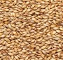 солод ячменный Crystal 50, Viking malt, Финляндия 5256 - фото 9475