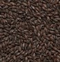 Солод ячменный Roasted Barley Бельгия 6222 - фото 9648